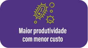 maior-produtividade